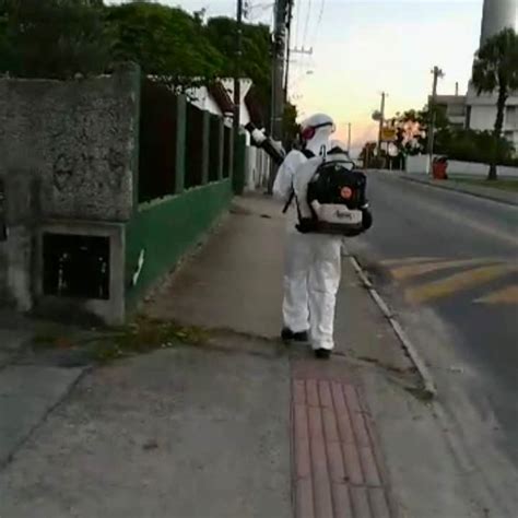 Santa Catarina Dispara Alerta Vermelho Para Dengue OCP News As