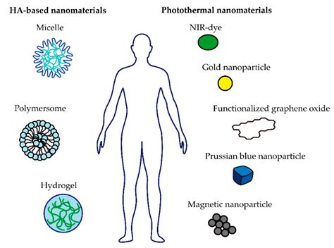 Pharmaceutics Free Full Text Biomedical Applications Of Hyaluronic