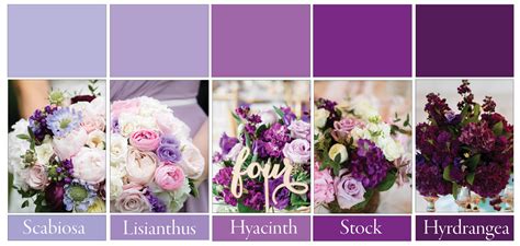 More About Purple and Plum Wedding Flowers