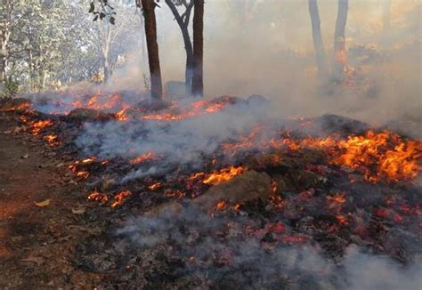 Piden Suspender Las Quemas Agropecuarias Para Evitar Incendios Diario