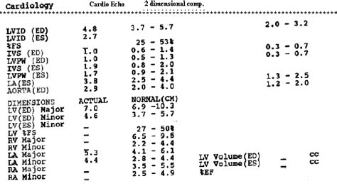 Sample Echo Cardiography Report