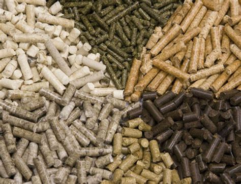 Biomass Rice Husk Pellets Has Got An Increasing Market Demand In Asia