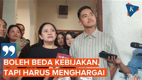 Puan Terima Permintaan Maaf Kaesang Soal Kader Psi Rendahkan Pdi P