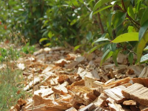 Paillage Aire De Jeux VMC Bois