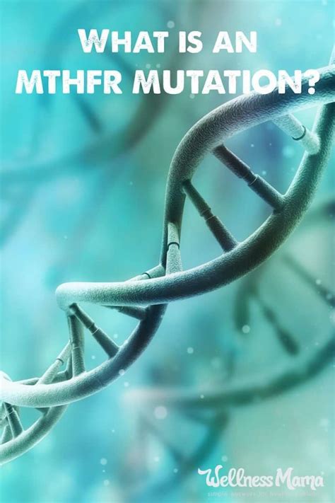 What Is An Mthfr Gene Mutation Wellness Mama