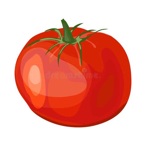 Tomate Rouge Illustration De Vecteur Illustration Du Sain