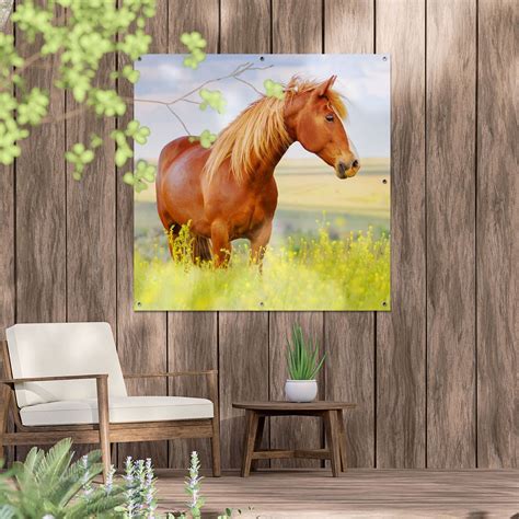 Gards Tuinposter Bruin Paard In De Wei 100x100 Cm Tuindoek