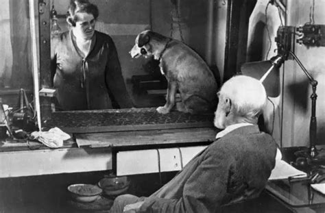 Pavlov’s Dog: The Experiment That Revolutionized Psychology | History ...