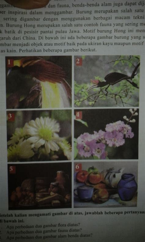 Unduh 6600 Koleksi Gambar Flora Fauna Dan Alam Benda Dalam Satu Gambar