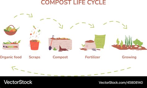 Compost cycle farm garden composting process Vector Image