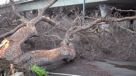 Sacramento crews continue storm clean-up after 2nd storm | abc10.com