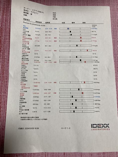 受診の結果のご報告 免疫介在性溶血性貧血の保護子猫鮪君の治療費のご支援をお願い致します（平間史恵 20240329 投稿） クラウド