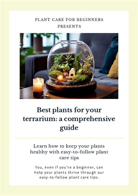 Shop for your Best plants for your terrarium: a comprehensive guide