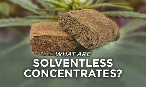 What are Solventless Concentrates? - Agate Dreams