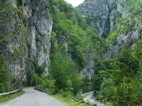 Sohodol Gorges Stock Photo Image Of Rock Lush River 303990758