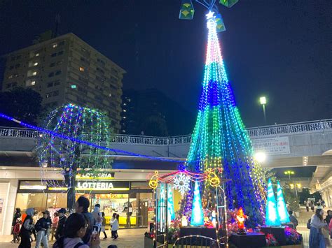 今年も盛大に開催！若葉台クリスマスツリーイルミネーション点灯式2023 相鉄線に乗ろう‼