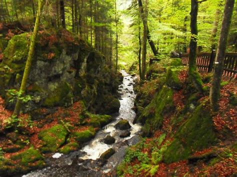 Girmont Val D Ajol Un Village Dans Les Vosges Office De Tourisme