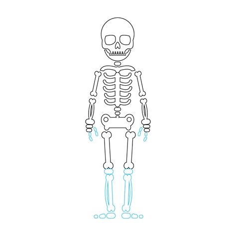 How to Draw A Skeleton Step by Step