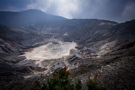 Hutan Jayagiri Tangkuban Parahu Dan Cekungan Bandung