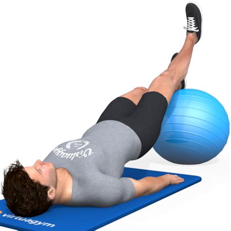 Exercise Ball Hip Bridge Leg Raise Alternating Video Exercise Guide