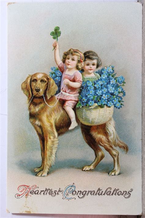 Greetings Heartiest Congratulations Postcard Old Vintage Card View