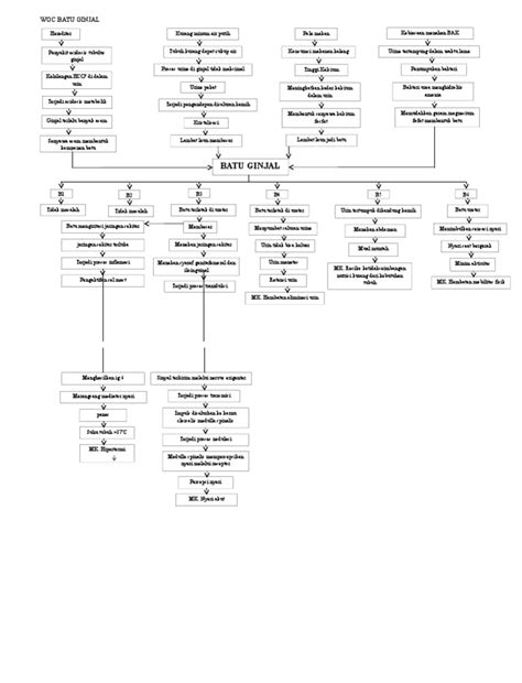 pathway nefrolitiasis batu ginjal