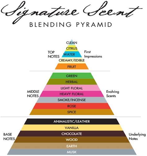 Learn About Fragrance Types Find Your Perfect Scent Get Lit 51 Off