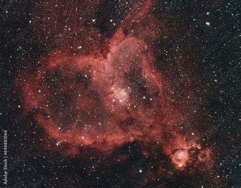 Deepsky Astro Photography The Heart Nebula Ic In Star