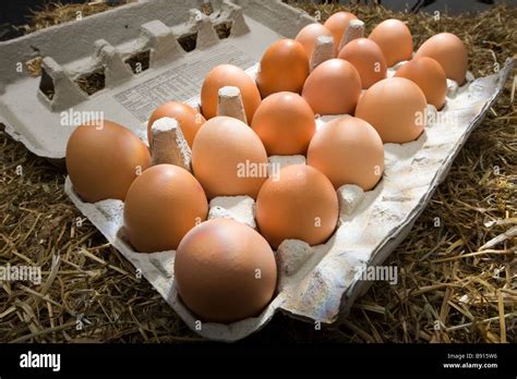 18 Eggs Hi Res Stock Photography And Images Alamy