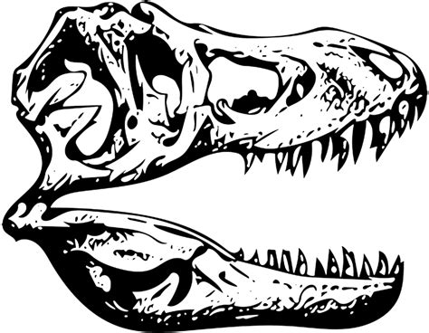 Download T Rex Tyrannosaurus Fossil T Rex Skull Clip Art Full Size