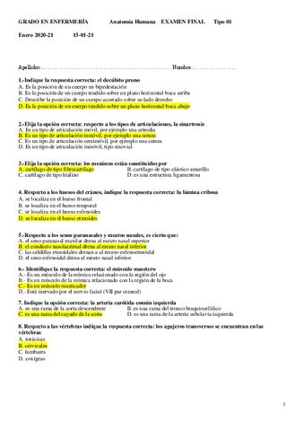 Final Todo Enero Anatomia Pdf