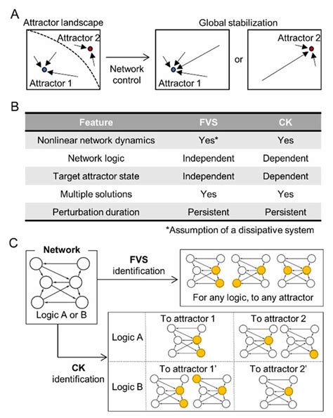 Comparison Of Network Control Through Fvss And Cks A Attractor