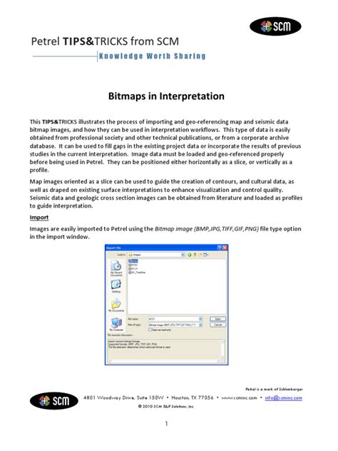 PDF SCM Bitmaps In Interpretation Petrel 2010 DOKUMEN TIPS