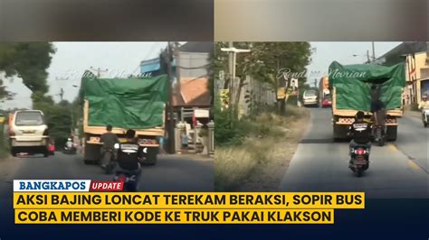 Aksi Bajing Loncat Terekam Beraksi Sopir Bus Coba Memberi Kode Ke Truk