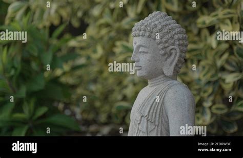 Buddha garden statue Stock Videos & Footage - HD and 4K Video Clips - Alamy