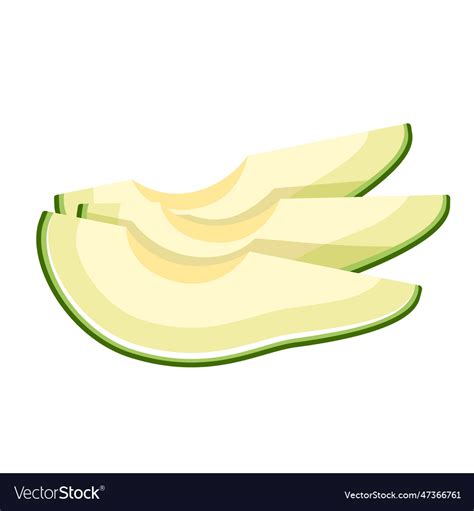 Green Avocado Icon Isolated On White Background Vector Image