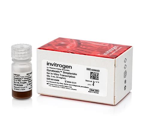 Invitrogen Dynabeads Streptavidin For In Vitro Transcription Cell