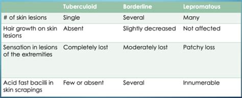 Opportunistic Infections Flashcards Quizlet