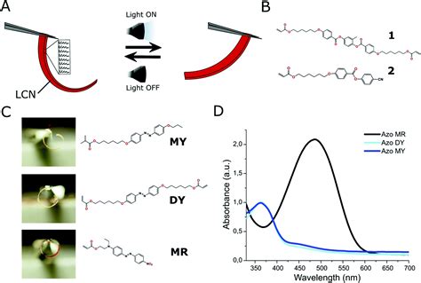 Unravelling The Photothermal And Photomechanical Contributions To