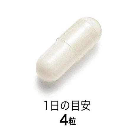 FANCL 30 Day Supplement (Body Fat / Fat Consumption) Black Ginger ...