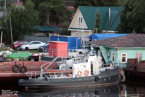 Песец — Photo — FleetPhoto