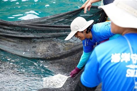 翻轉漁業新勢力，東澳漁業栽培區世界海洋日永續盛典 農傳媒