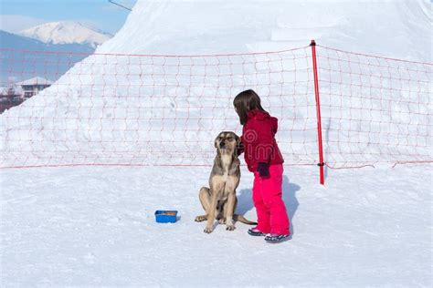 Girl and Homeless Dog in Winter Editorial Photography - Image of girl, season: 99842207