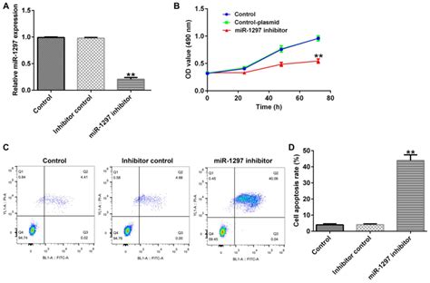 Microrna‑1297 Downregulation Inhibits Breast Cancer Cell Epithelial