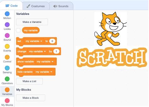 Scratch Programming (Basic)