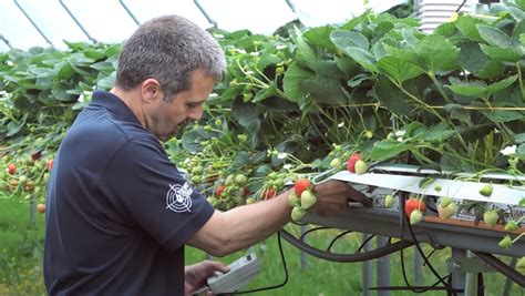 How Niab Emr Research Institute Use Delta T Devices Soil Sensors To