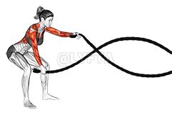 Battling Ropes Half Kneeling - Video Guide | Lyfta