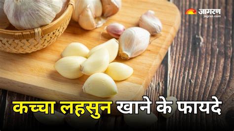 रोज खाली पेट चबा लें कच्चे लहसुन की एक कली सभी पूछेंगे क्या है सेहत का राज Benefits Of Eating