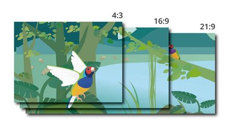 What Is Monitor Resolution? Resolutions and Aspect Ratios Explained - ViewSonic Library