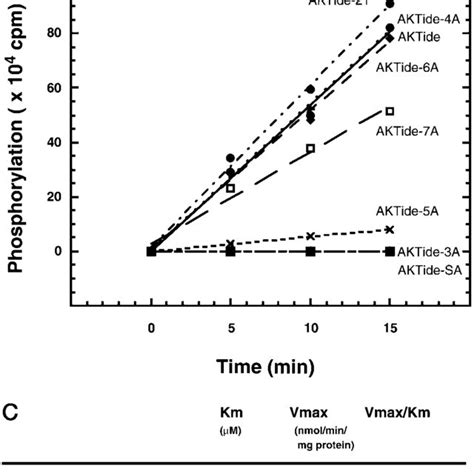 Kinetic Analysis Of The Predicted Optimal Akt Pkb Substrate A